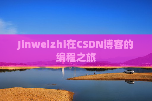 Jinweizhi在CSDN博客的编程之旅
